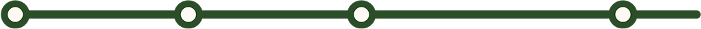 Train icon
