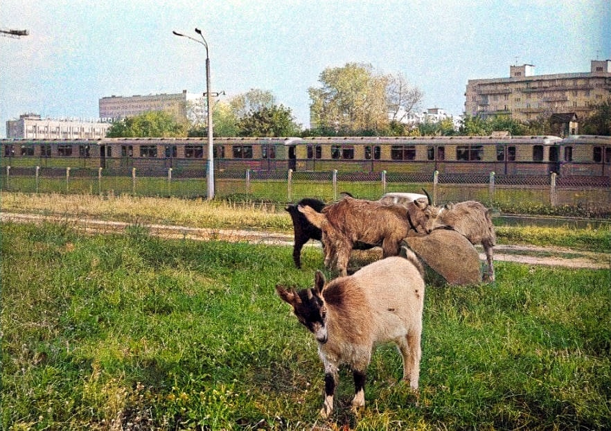 Неподалік станції метро Лівобережна. Фото 1970-х років