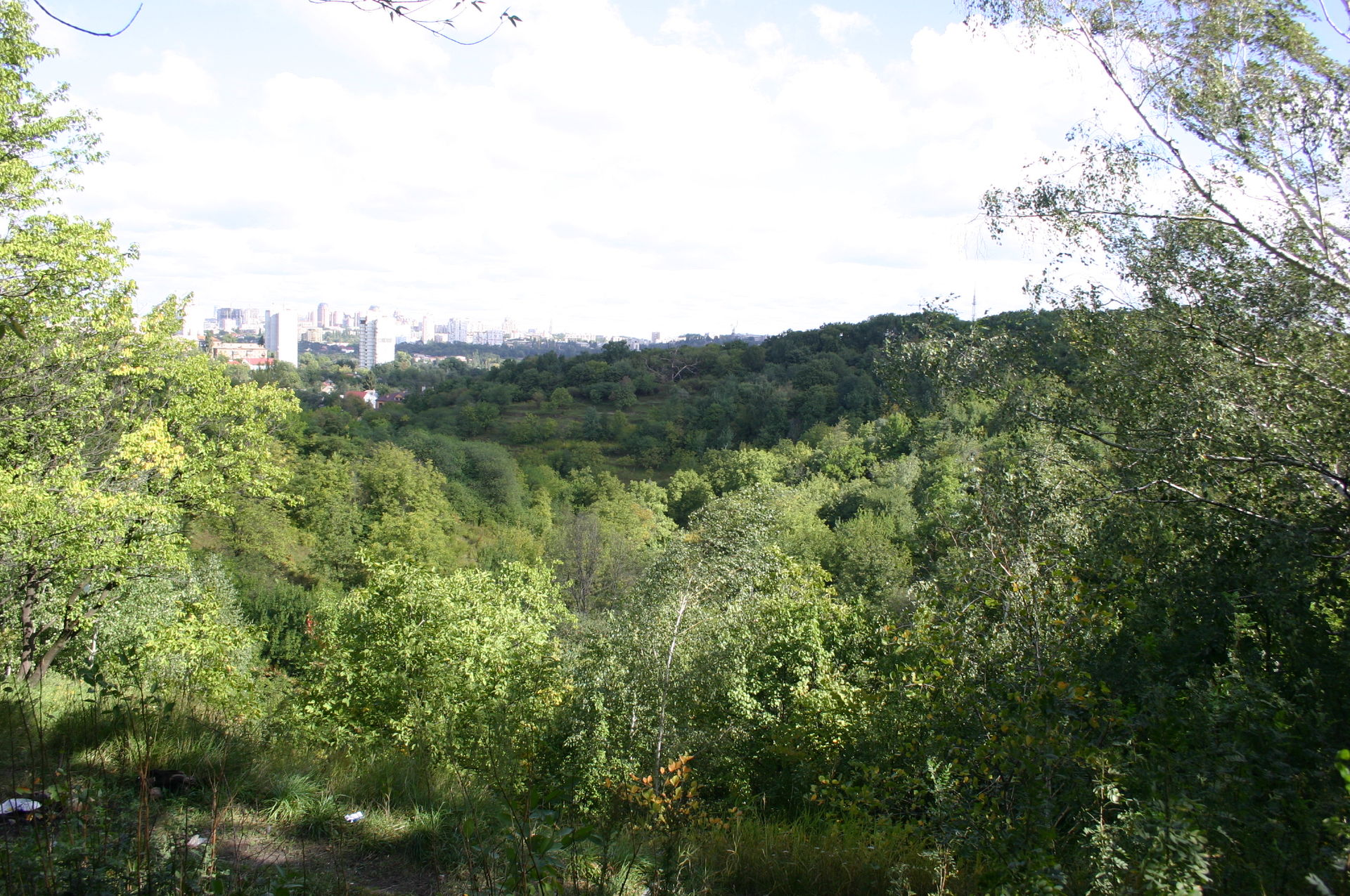 Лиса гора. Світлина 2007 року